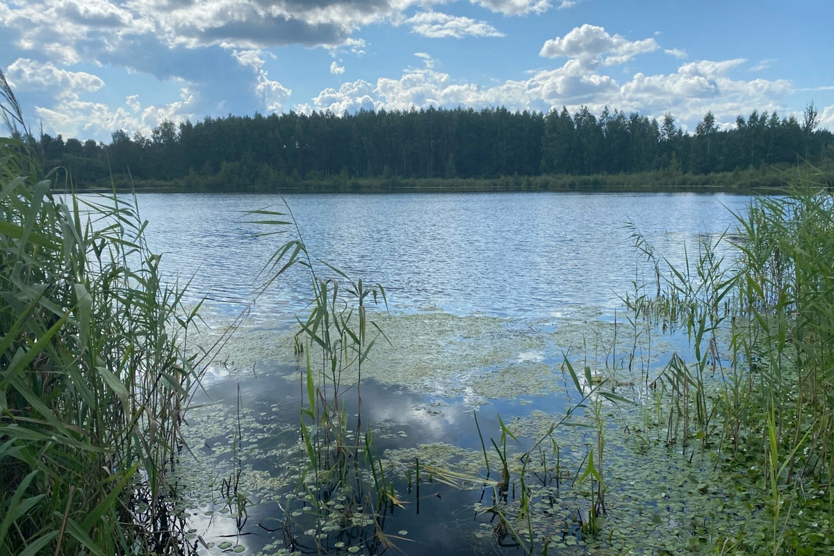 Лето   — идеальное время для путешествий по   воде. Но   куда отправиться, дабы испытать в   деле сапы, рафты и   байдарки? Вариантов немало, однако мы   собрали для вас семь самых живописных и   интересных маршрутов по   водоемам Владимирской области. А   главное, все они подходят как новичкам, так и   опытным туристам.