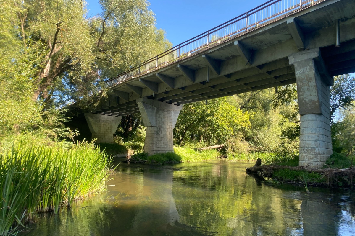Лето   — идеальное время для путешествий по   воде. Но   куда отправиться, дабы испытать в   деле сапы, рафты и   байдарки? Вариантов немало, однако мы   собрали для вас семь самых живописных и   интересных маршрутов по   водоемам Владимирской области. А   главное, все они подходят как новичкам, так и   опытным туристам.