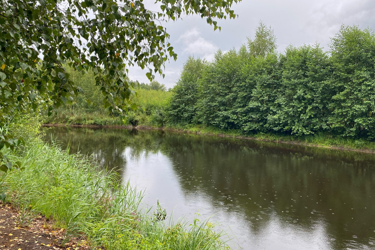 Лето   — идеальное время для путешествий по   воде. Но   куда отправиться, дабы испытать в   деле сапы, рафты и   байдарки? Вариантов немало, однако мы   собрали для вас семь самых живописных и   интересных маршрутов по   водоемам Владимирской области. А   главное, все они подходят как новичкам, так и   опытным туристам.