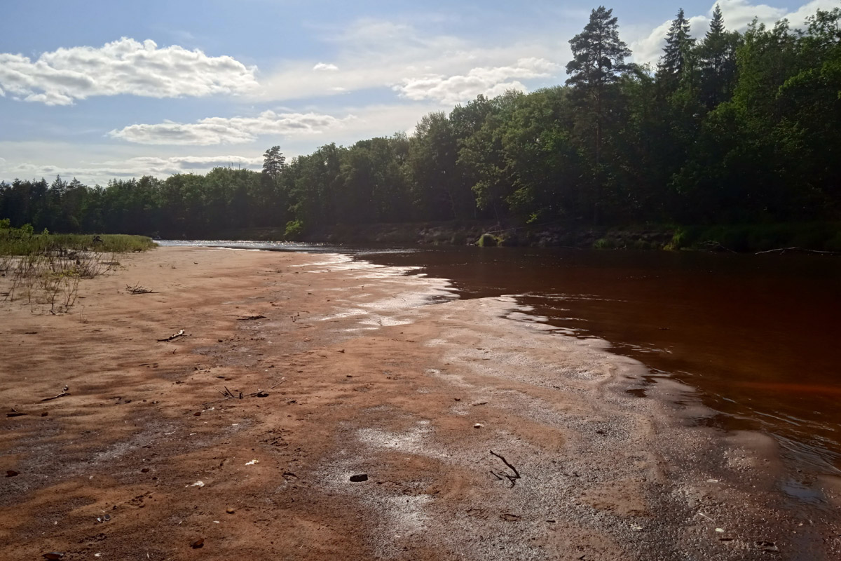 Лето   — идеальное время для путешествий по   воде. Но   куда отправиться, дабы испытать в   деле сапы, рафты и   байдарки? Вариантов немало, однако мы   собрали для вас семь самых живописных и   интересных маршрутов по   водоемам Владимирской области. А   главное, все они подходят как новичкам, так и   опытным туристам.