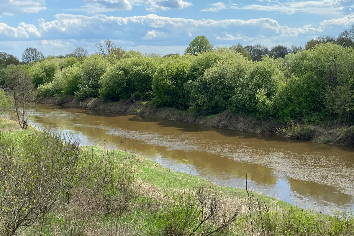 Лето   — идеальное время для путешествий по   воде. Но   куда отправиться, дабы испытать в   деле сапы, рафты и   байдарки? Вариантов немало, однако мы   собрали для вас семь самых живописных и   интересных маршрутов по   водоемам Владимирской области. А   главное, все они подходят как новичкам, так и   опытным туристам.