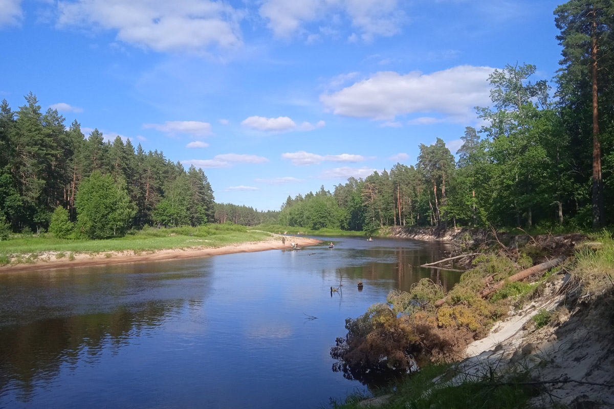 Лето   — идеальное время для путешествий по   воде. Но   куда отправиться, дабы испытать в   деле сапы, рафты и   байдарки? Вариантов немало, однако мы   собрали для вас семь самых живописных и   интересных маршрутов по   водоемам Владимирской области. А   главное, все они подходят как новичкам, так и   опытным туристам.