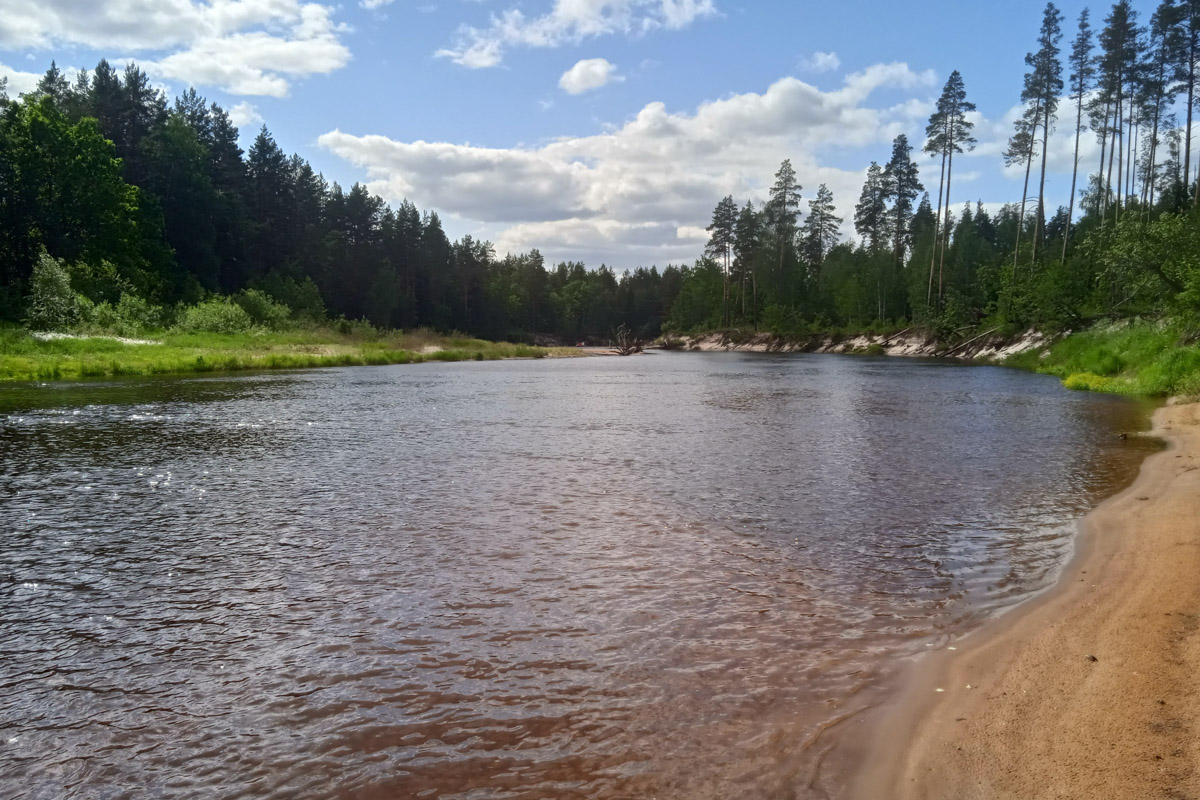 Лето   — идеальное время для путешествий по   воде. Но   куда отправиться, дабы испытать в   деле сапы, рафты и   байдарки? Вариантов немало, однако мы   собрали для вас семь самых живописных и   интересных маршрутов по   водоемам Владимирской области. А   главное, все они подходят как новичкам, так и   опытным туристам.