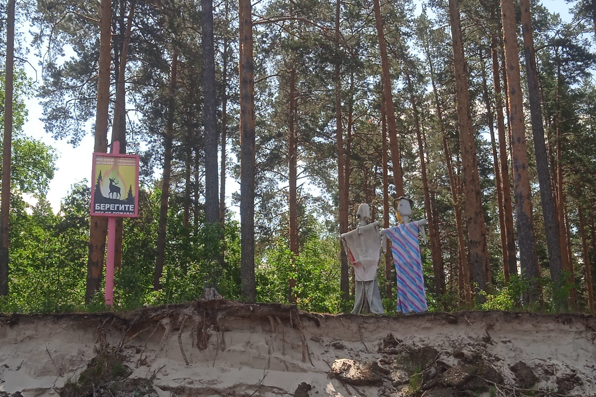 Лето   — идеальное время для путешествий по   воде. Но   куда отправиться, дабы испытать в   деле сапы, рафты и   байдарки? Вариантов немало, однако мы   собрали для вас семь самых живописных и   интересных маршрутов по   водоемам Владимирской области. А   главное, все они подходят как новичкам, так и   опытным туристам.