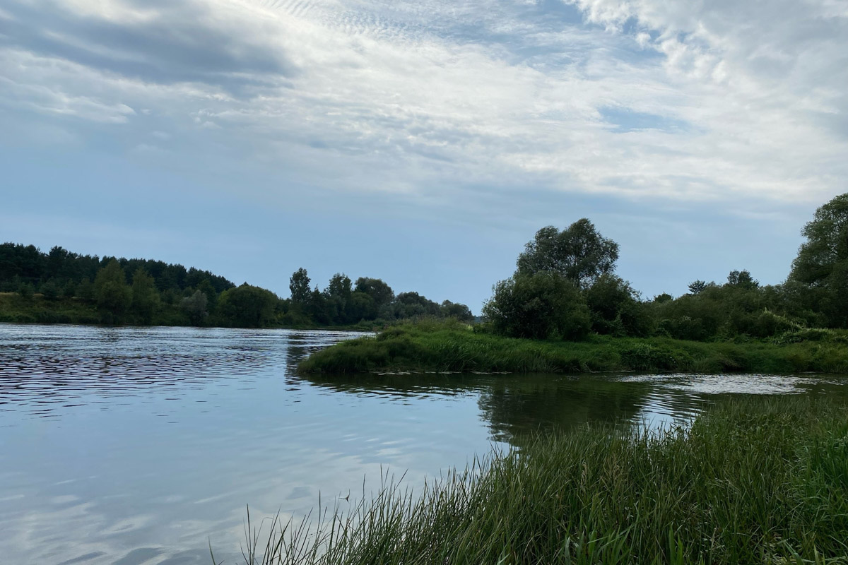 Лето   — идеальное время для путешествий по   воде. Но   куда отправиться, дабы испытать в   деле сапы, рафты и   байдарки? Вариантов немало, однако мы   собрали для вас семь самых живописных и   интересных маршрутов по   водоемам Владимирской области. А   главное, все они подходят как новичкам, так и   опытным туристам.