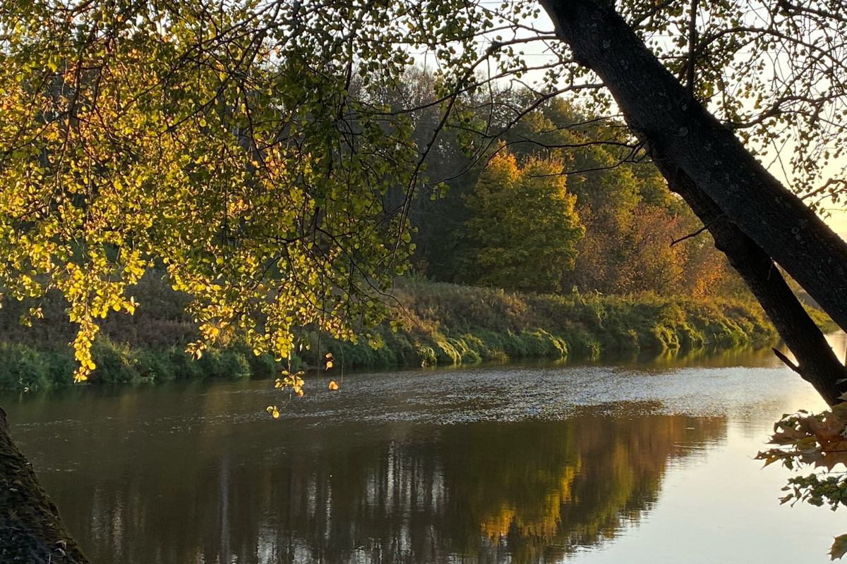 Лето   — идеальное время для путешествий по   воде. Но   куда отправиться, дабы испытать в   деле сапы, рафты и   байдарки? Вариантов немало, однако мы   собрали для вас семь самых живописных и   интересных маршрутов по   водоемам Владимирской области. А   главное, все они подходят как новичкам, так и   опытным туристам.