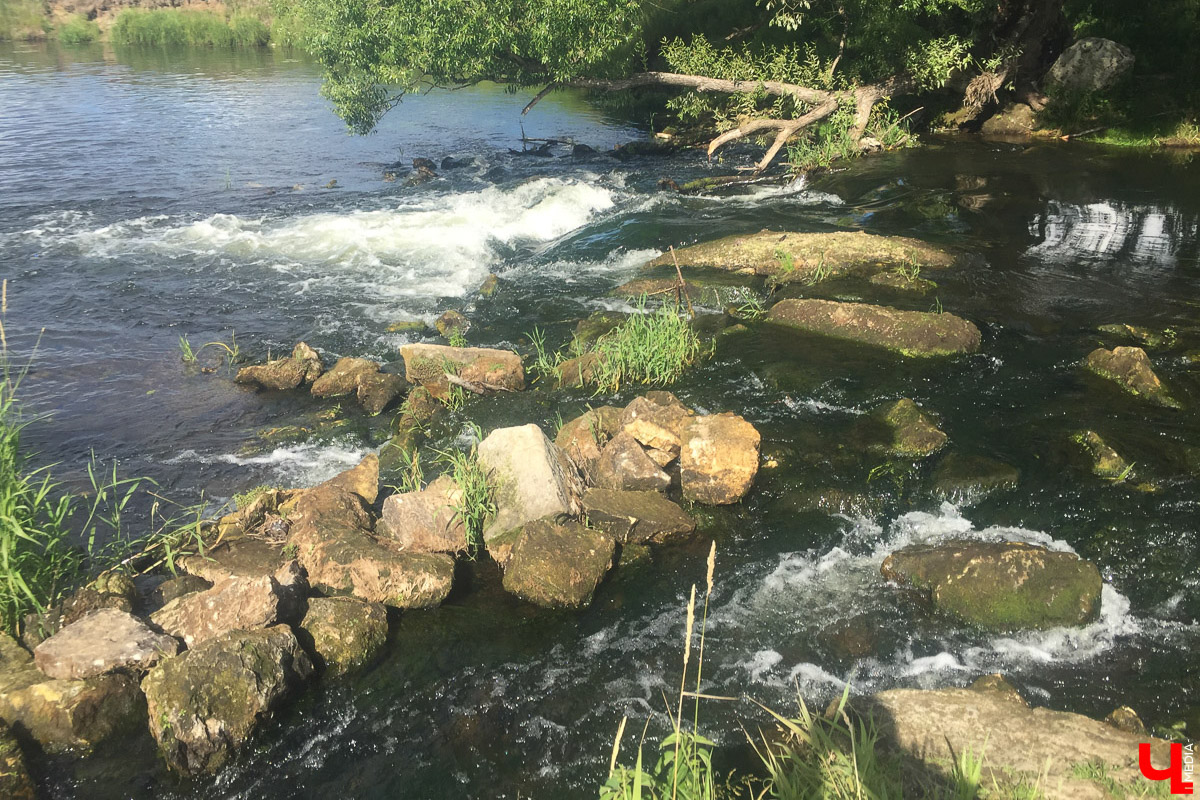 Лето   — идеальное время для путешествий по   воде. Но   куда отправиться, дабы испытать в   деле сапы, рафты и   байдарки? Вариантов немало, однако мы   собрали для вас семь самых живописных и   интересных маршрутов по   водоемам Владимирской области. А   главное, все они подходят как новичкам, так и   опытным туристам.