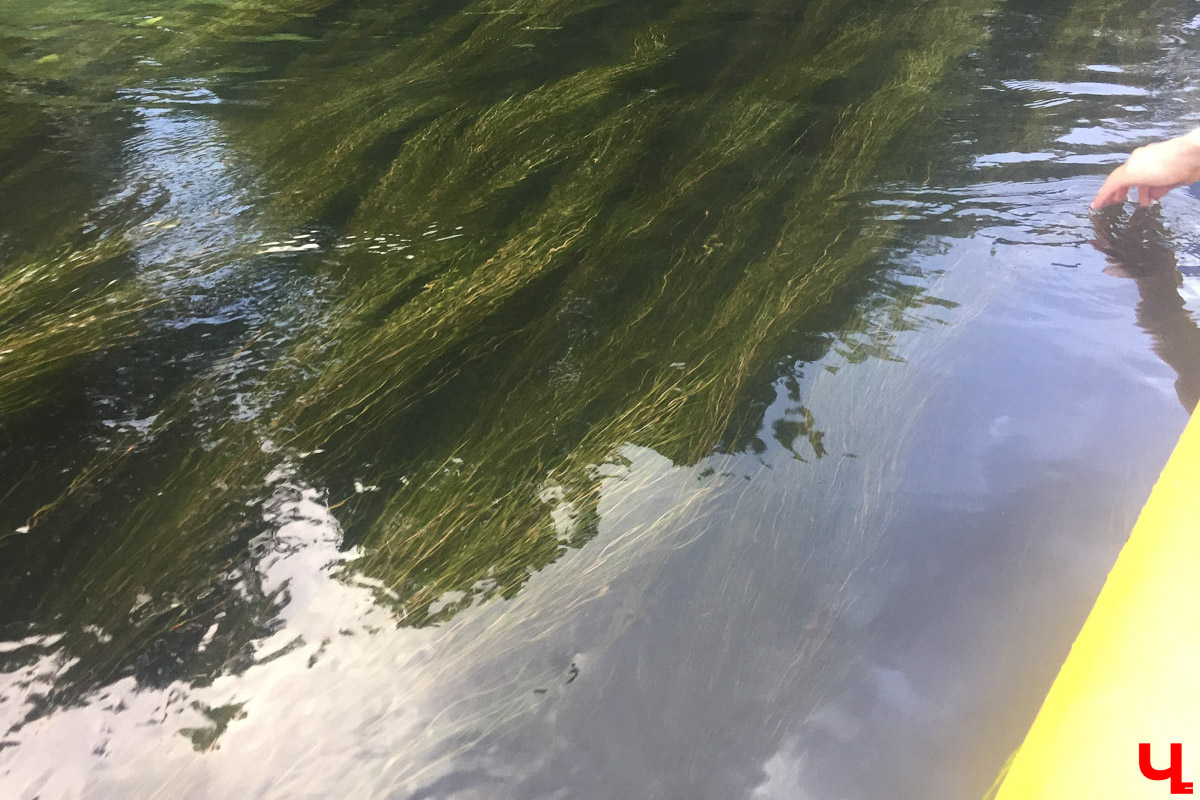 Лето   — идеальное время для путешествий по   воде. Но   куда отправиться, дабы испытать в   деле сапы, рафты и   байдарки? Вариантов немало, однако мы   собрали для вас семь самых живописных и   интересных маршрутов по   водоемам Владимирской области. А   главное, все они подходят как новичкам, так и   опытным туристам.