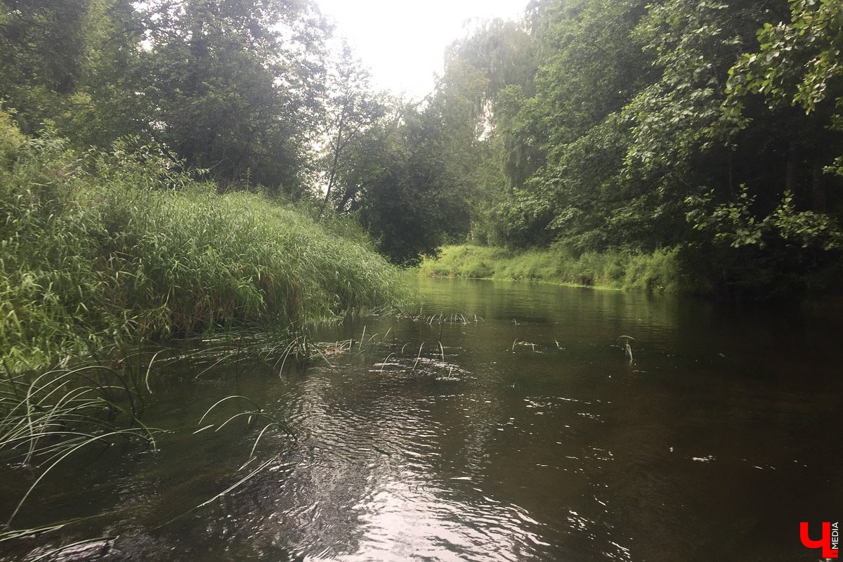 Лето   — идеальное время для путешествий по   воде. Но   куда отправиться, дабы испытать в   деле сапы, рафты и   байдарки? Вариантов немало, однако мы   собрали для вас семь самых живописных и   интересных маршрутов по   водоемам Владимирской области. А   главное, все они подходят как новичкам, так и   опытным туристам.