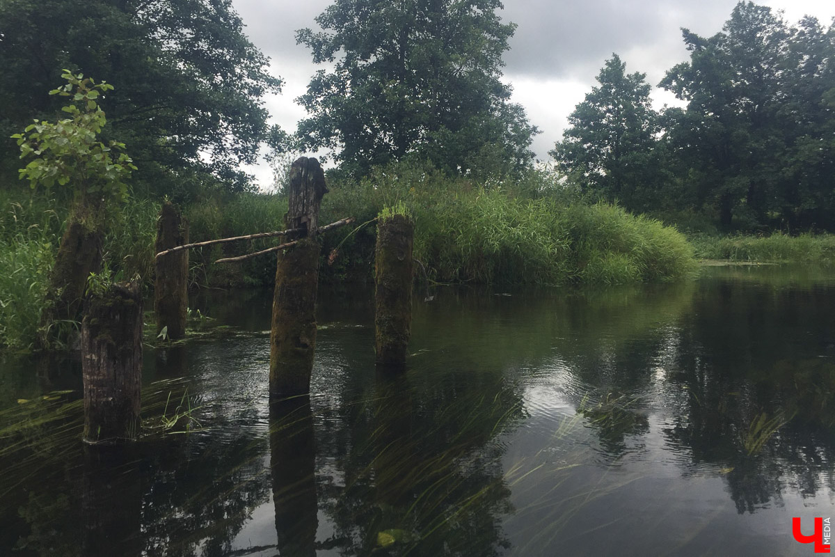 Лето   — идеальное время для путешествий по   воде. Но   куда отправиться, дабы испытать в   деле сапы, рафты и   байдарки? Вариантов немало, однако мы   собрали для вас семь самых живописных и   интересных маршрутов по   водоемам Владимирской области. А   главное, все они подходят как новичкам, так и   опытным туристам.