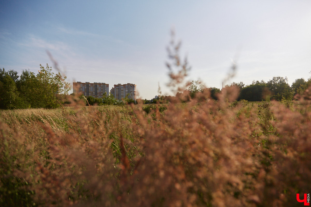 Вторая половина июля радует всех любителей качественной прожарки и густого загара. Солнце палит нещадно — настоящее дыхание дракона за окном. Но август способен ситуацию кардинально изменить. Чего ждать от грядущего месяца, предположили часовые погоды.