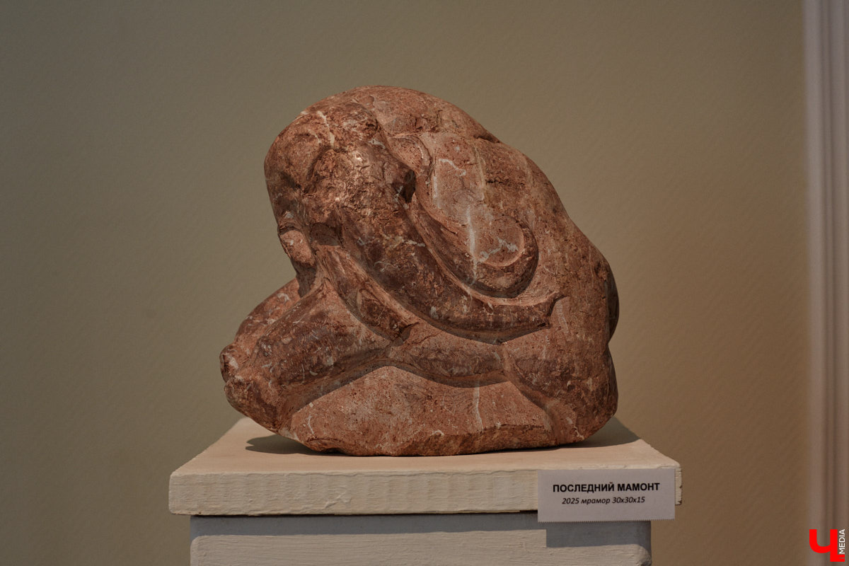 Во Владимире открылась первая персональная выставка скульптора Виталия Цагареишвили. Жителям региона он известен как автор бронзовых суздальчат и участник первого белокаменного фестиваля. Разнообразие форм представленных изделий, а также плавные изгибы грубых, казалось бы, материалов выдернут посетителей из реальности на долгие минуты. Проверено на себе!