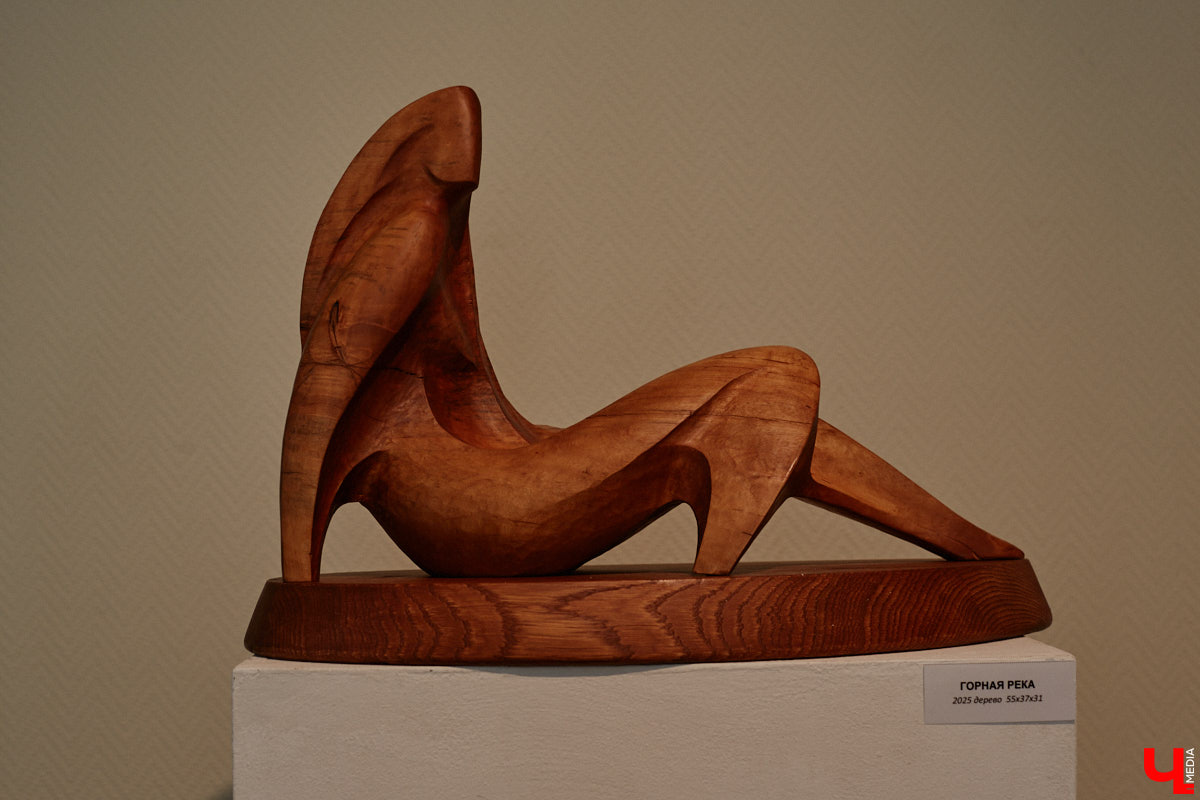 Во Владимире открылась первая персональная выставка скульптора Виталия Цагареишвили. Жителям региона он известен как автор бронзовых суздальчат и участник первого белокаменного фестиваля. Разнообразие форм представленных изделий, а также плавные изгибы грубых, казалось бы, материалов выдернут посетителей из реальности на долгие минуты. Проверено на себе!