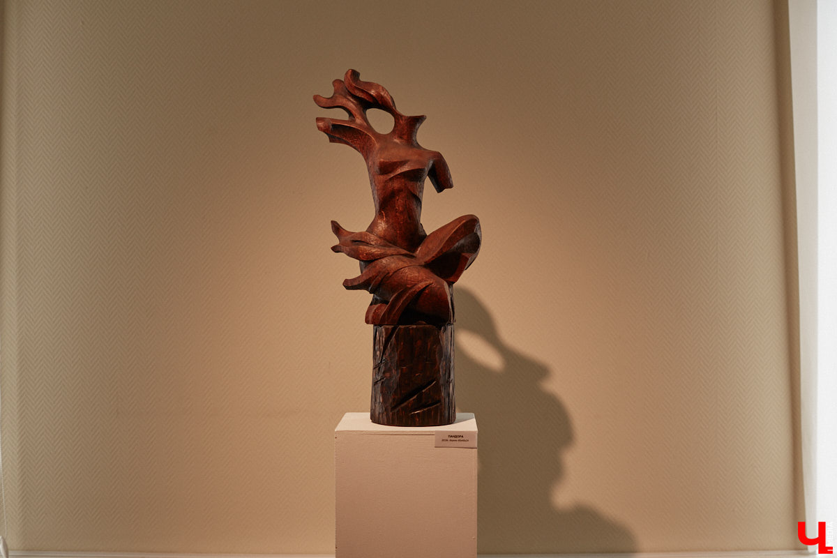 Во Владимире открылась первая персональная выставка скульптора Виталия Цагареишвили. Жителям региона он известен как автор бронзовых суздальчат и участник первого белокаменного фестиваля. Разнообразие форм представленных изделий, а также плавные изгибы грубых, казалось бы, материалов выдернут посетителей из реальности на долгие минуты. Проверено на себе!