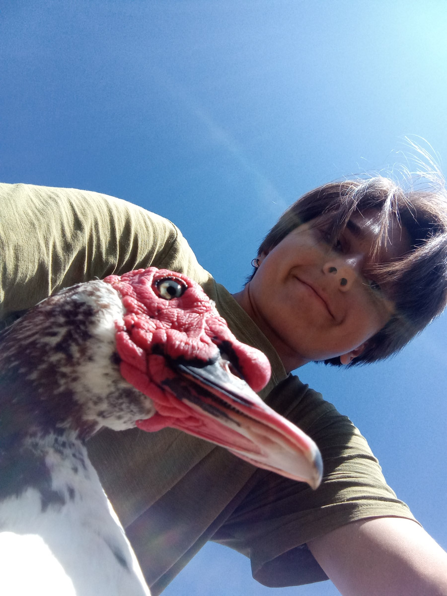 Сосредоточенность, зоркий глаз и умение ждать. Такие качества должны быть присущи фотографу-натуралисту, решившему показать людям мир птиц. Но эти нюансы не страшат юную любительницу пернатых Софью Белову из Владимира. Девушка давно с ними на «ты». Знает, как помочь выжить в суровой городской среде и, конечно, не упускает возможности запечатлеть во всей красе.