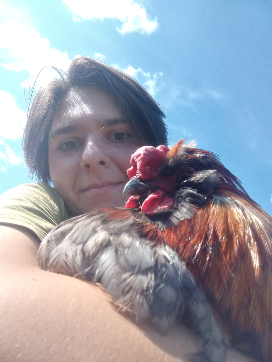 Сосредоточенность, зоркий глаз и умение ждать. Такие качества должны быть присущи фотографу-натуралисту, решившему показать людям мир птиц. Но эти нюансы не страшат юную любительницу пернатых Софью Белову из Владимира. Девушка давно с ними на «ты». Знает, как помочь выжить в суровой городской среде и, конечно, не упускает возможности запечатлеть во всей красе.