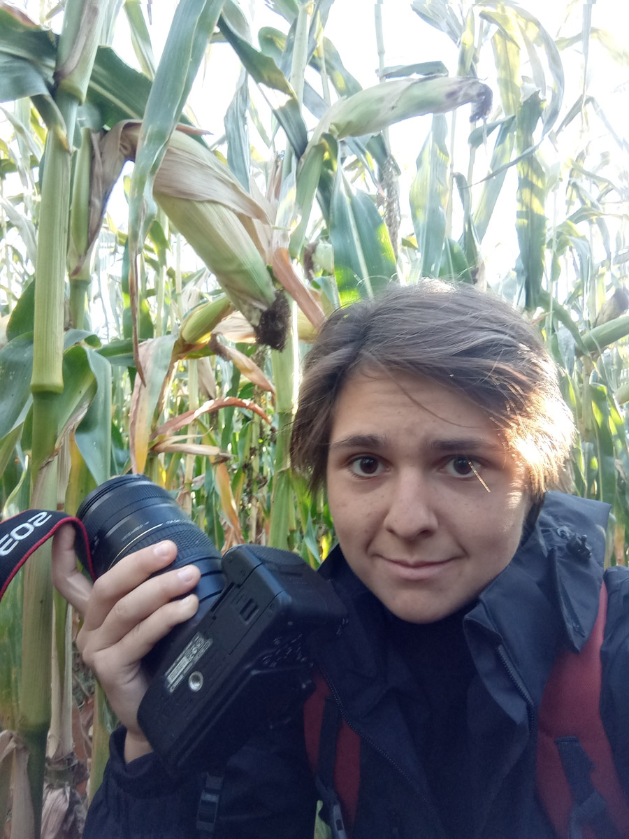 Сосредоточенность, зоркий глаз и умение ждать. Такие качества должны быть присущи фотографу-натуралисту, решившему показать людям мир птиц. Но эти нюансы не страшат юную любительницу пернатых Софью Белову из Владимира. Девушка давно с ними на «ты». Знает, как помочь выжить в суровой городской среде и, конечно, не упускает возможности запечатлеть во всей красе.