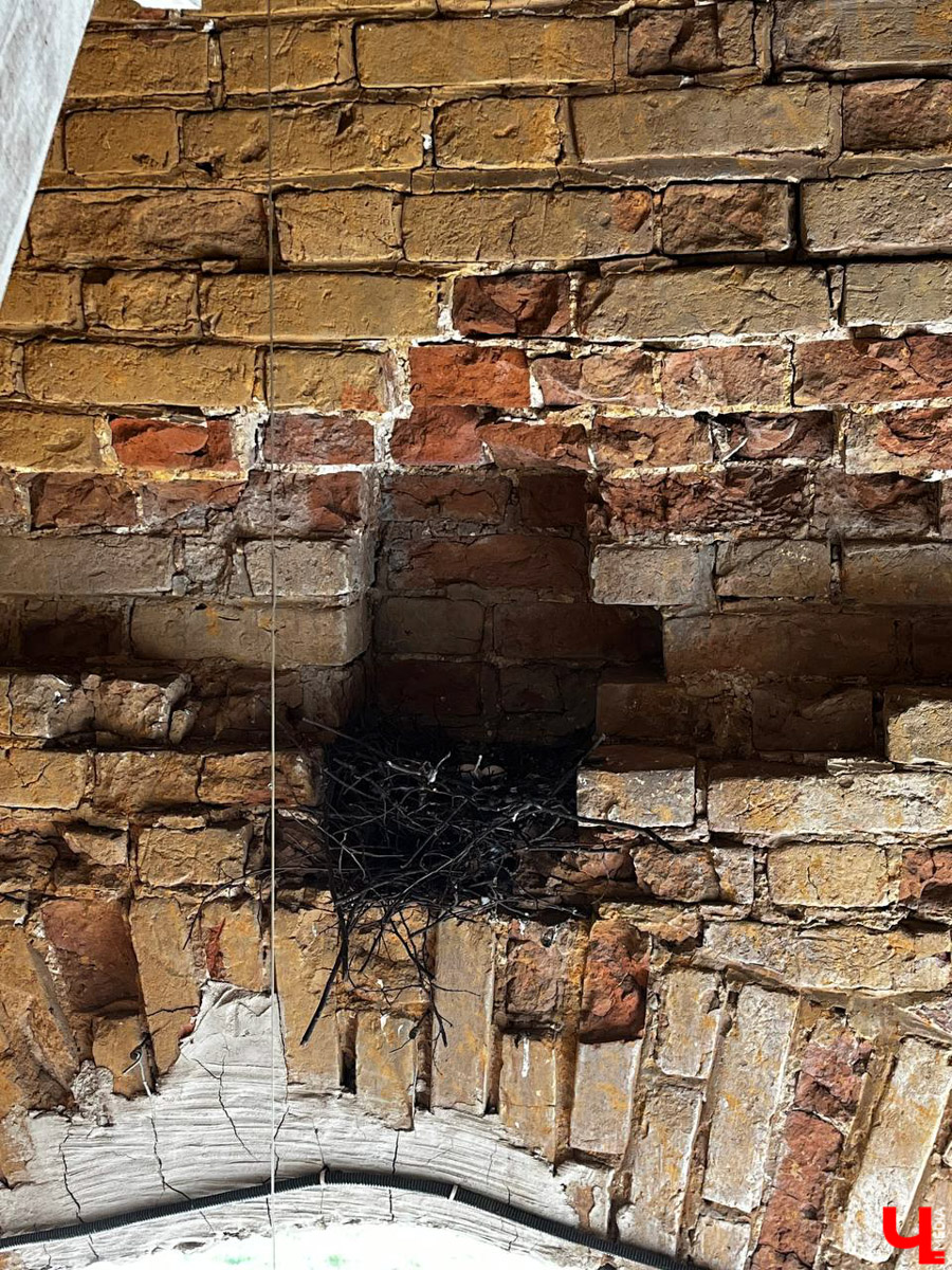 Гаврилов Посад — городок в Ивановской области примерно в 30 километрах от Суздаля. Его называют родиной известного на весь мир владимирского тяжеловоза. Обойти все местные достопримечательности можно всего за несколько часов в лайтовом режиме. Ехать сюда стоит за особой атмосферой: прогуляться по лучшей по версии «Афиша Daily» набережной, подняться на старую колокольню ради невероятных видов и, конечно, посетить Дворцовый конный завод.