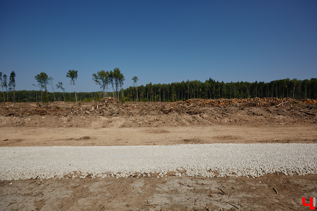 Лес рубят — щепки летят: сей факт в очередной раз испытывают на себе жители Владимира. Теперь — из микрорайона Юрьевец, где ради реновации аэропорта Семязино уничтожили деревья на площади в 13 гектаров. В то же время Старые сады у ДДюТ огородили забором, закрыв проход к роднику. Рассказываем со всеми деталями. 