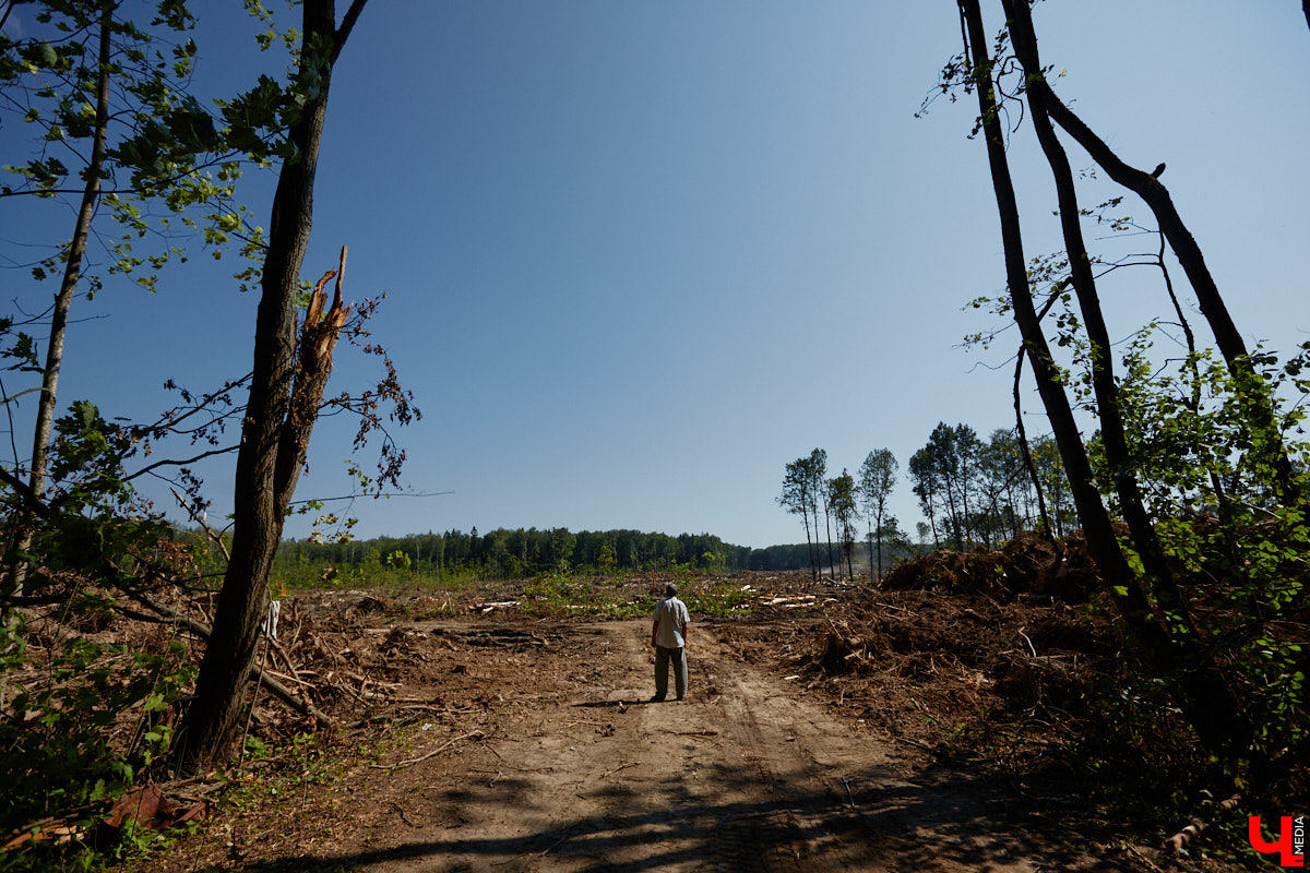 Лес рубят — щепки летят: сей факт в очередной раз испытывают на себе жители Владимира. Теперь — из микрорайона Юрьевец, где ради реновации аэропорта Семязино уничтожили деревья на площади в 13 гектаров. В то же время Старые сады у ДДюТ огородили забором, закрыв проход к роднику. Рассказываем со всеми деталями. 
