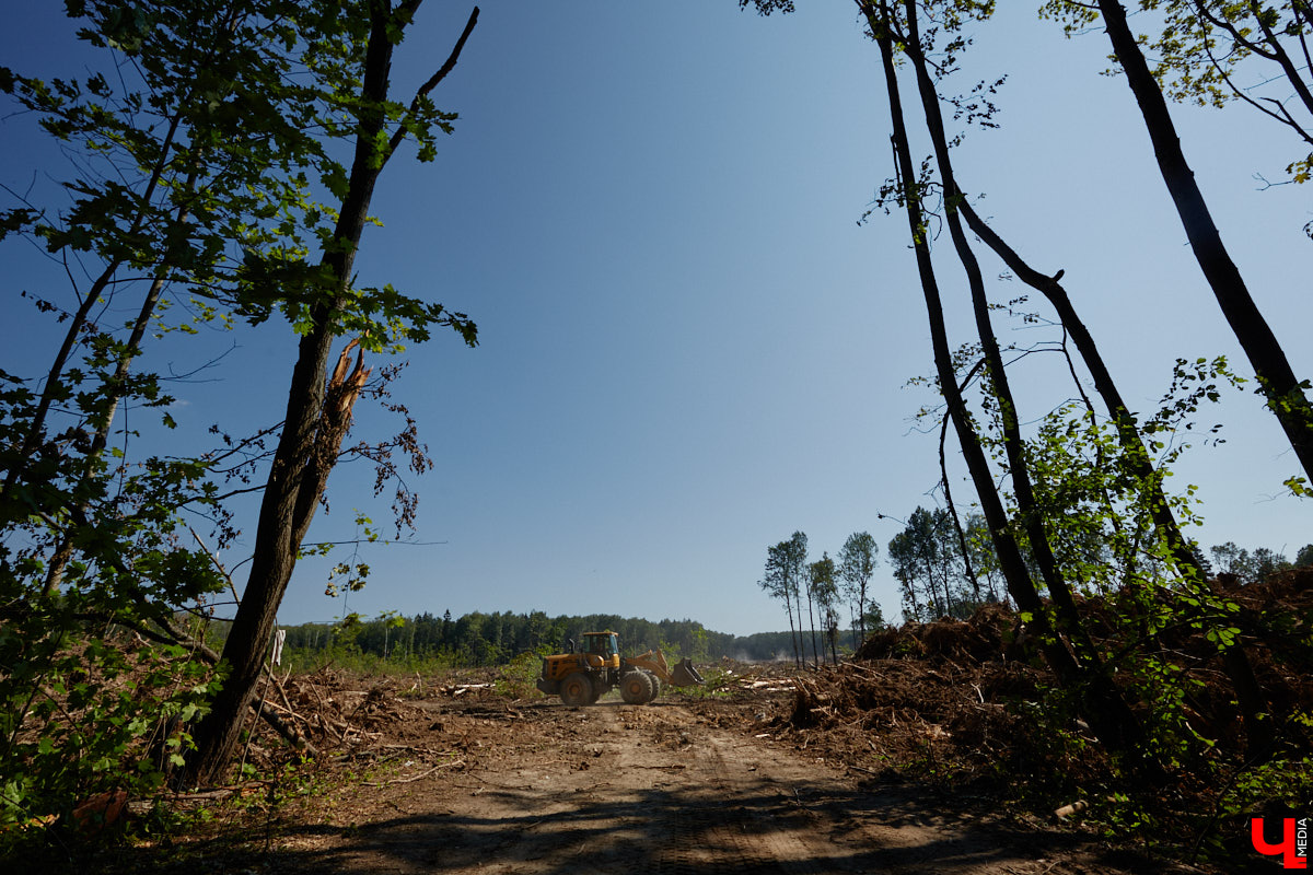 Лес рубят — щепки летят: сей факт в очередной раз испытывают на себе жители Владимира. Теперь — из микрорайона Юрьевец, где ради реновации аэропорта Семязино уничтожили деревья на площади в 13 гектаров. В то же время Старые сады у ДДюТ огородили забором, закрыв проход к роднику. Рассказываем со всеми деталями. 