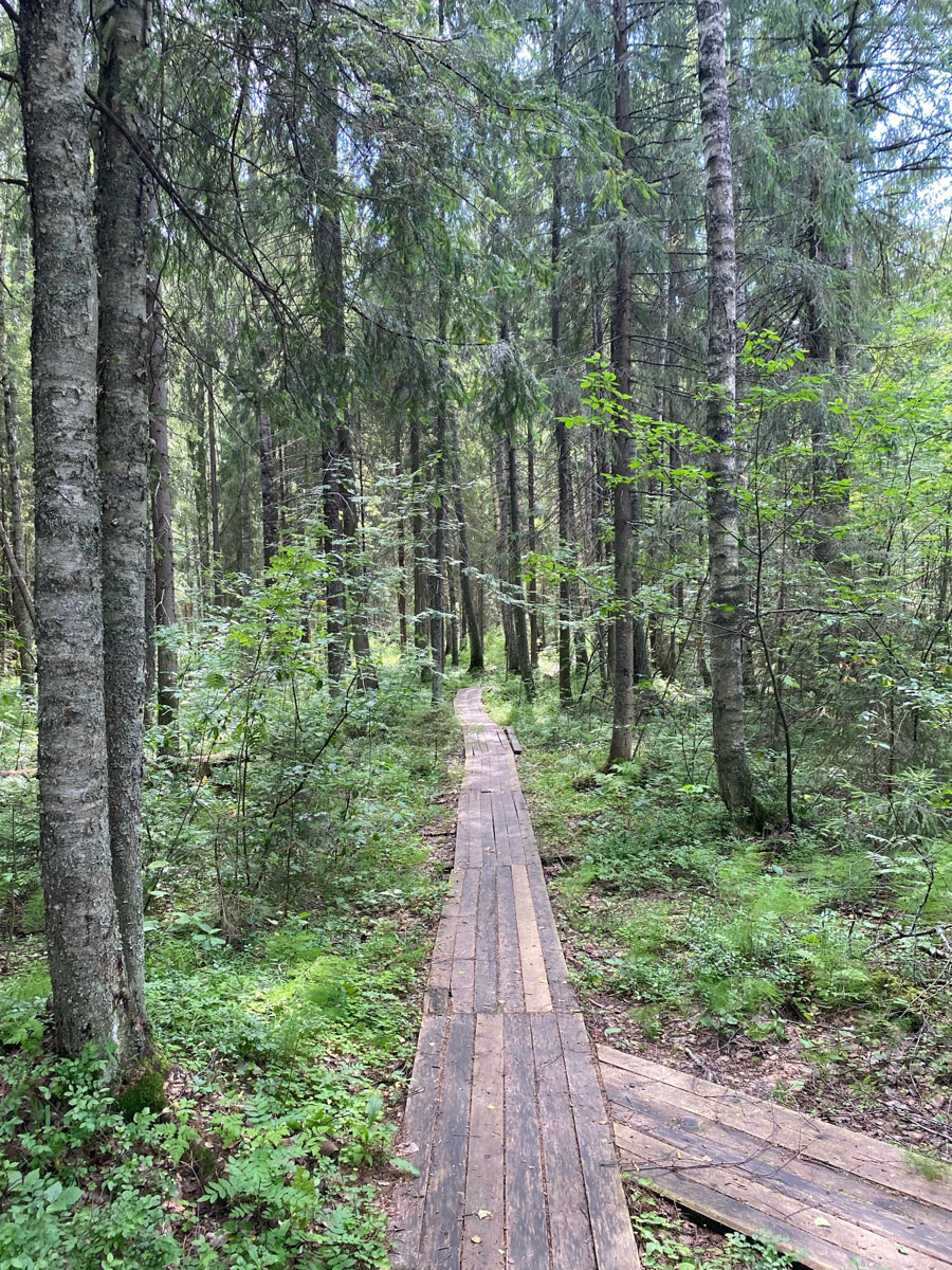 Семенов Нижегородской области     — удивительный русский город с     французской планировкой улиц, затерянный в     заповедных лесах. Он     встречает гостей сказочной хохломой и     дружелюбной матрешкой. Вот уж     действительно край контрастов! С     середины XVII века там скрывались тысячи людей, несогласных с     церковной реформой патриарха Никона. Община староверов сильна и     сегодня. Все самые интересные детали     — в     новом туре выходного дня!