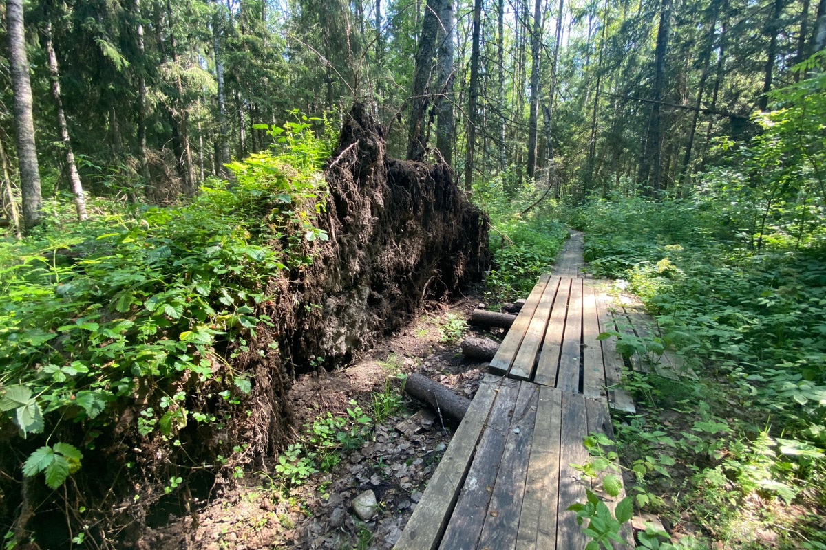 Семенов Нижегородской области     — удивительный русский город с     французской планировкой улиц, затерянный в     заповедных лесах. Он     встречает гостей сказочной хохломой и     дружелюбной матрешкой. Вот уж     действительно край контрастов! С     середины XVII века там скрывались тысячи людей, несогласных с     церковной реформой патриарха Никона. Община староверов сильна и     сегодня. Все самые интересные детали     — в     новом туре выходного дня!
