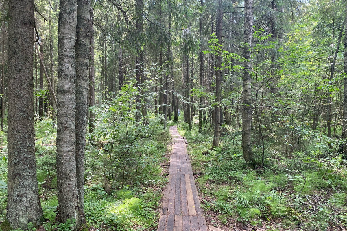 Семенов Нижегородской области     — удивительный русский город с     французской планировкой улиц, затерянный в     заповедных лесах. Он     встречает гостей сказочной хохломой и     дружелюбной матрешкой. Вот уж     действительно край контрастов! С     середины XVII века там скрывались тысячи людей, несогласных с     церковной реформой патриарха Никона. Община староверов сильна и     сегодня. Все самые интересные детали     — в     новом туре выходного дня!
