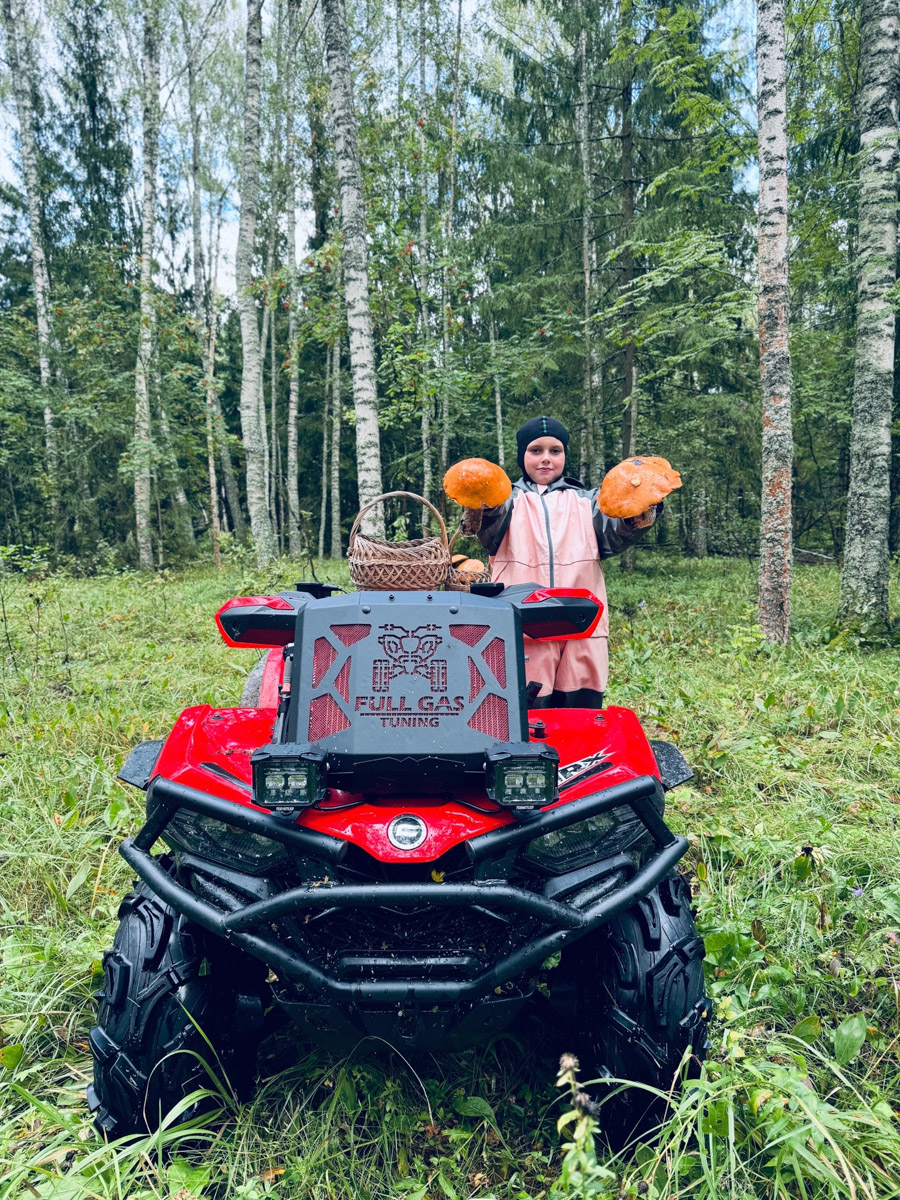 Во Владимирской области настоящий грибной бум! Жители региона делятся в социальных сетях полными корзинками и лукошками. Любителей тихой охоты радуют лисички, подосиновики, маслята, а с недавних пор в рост пошли и белые. Встречаются и совсем редкие экземпляры, например краснокнижные «ведьмины пальцы». «Ключ-Медиа» собрал самые сочные кадры щедрых даров леса.