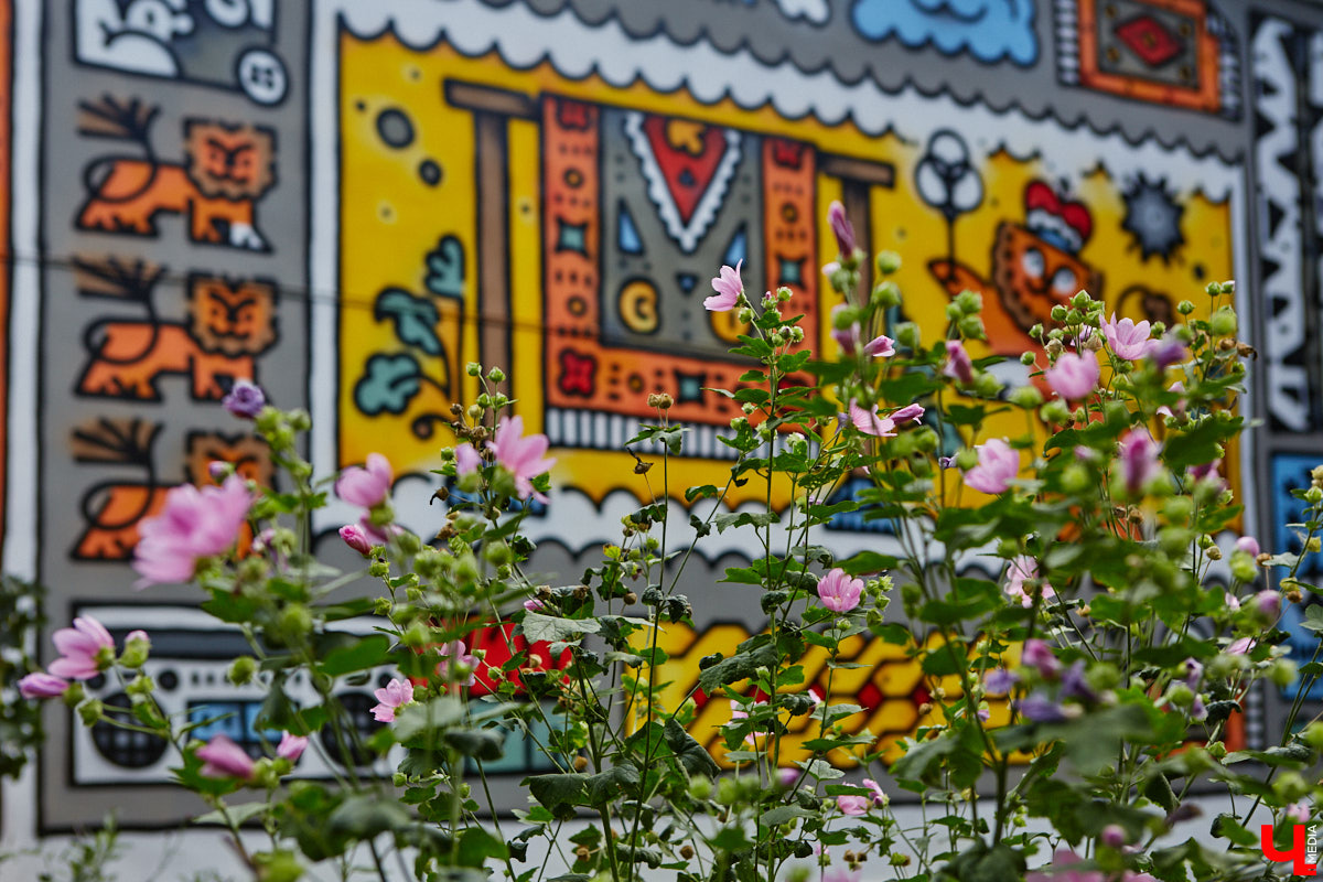 Городская галерея под открытым небом пополнилась свежими работами, а это значит, что во Владимире состоялся фестиваль уличного искусства. В этом году «Загфесту» пять лет. Юбилейное арт-событие прошло ярко: красками заиграли вдвое больше фасадов, чем обычно. Новые произведения от художников из разных уголков страны собрали в нашем фоторепортаже!