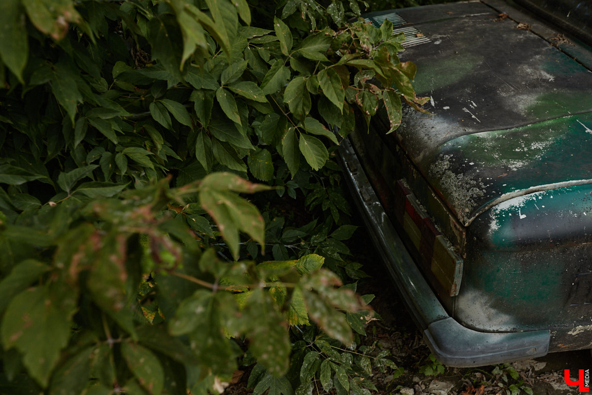 Артем Зинин коллекционирует советские запорожцы разных лет выпуска. Сейчас у него четыре легендарных автомобиля. Как минимум два из них он постоянно эксплуатирует. Длина пути не смущает: на малолитражках владимирец путешествовал в Крым, а в этом году доехал до Минска. И везде его машины с ревущим мотором в центре внимания.