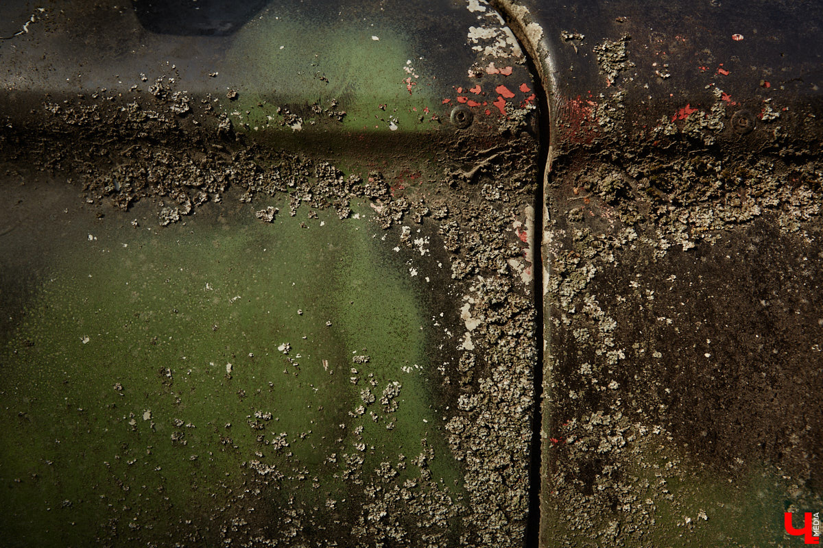 Артем Зинин коллекционирует советские запорожцы разных лет выпуска. Сейчас у него четыре легендарных автомобиля. Как минимум два из них он постоянно эксплуатирует. Длина пути не смущает: на малолитражках владимирец путешествовал в Крым, а в этом году доехал до Минска. И везде его машины с ревущим мотором в центре внимания.