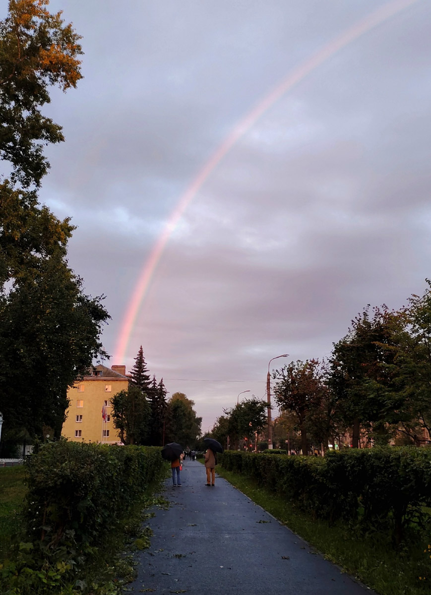 Небеса умеют удивлять! Чего только стоит полярное сияние, временами окрашивающее купол над головой в Ковровском районе. В конце лета жители области также могли наблюдать несколько чарующих явлений — самые интересные «Ключ-Медиа» осветил в обзоре.