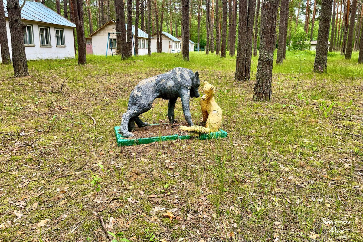 На счету у местного индустриального туриста Алексея Смирнова масса исследованных мест. Есть среди них и заброшенные пионерлагеря Владимирской области. Нашему герою удалось пройтись по территориям, где еще стоят скульптурные композиции, напоминающие о беззаботном лете.