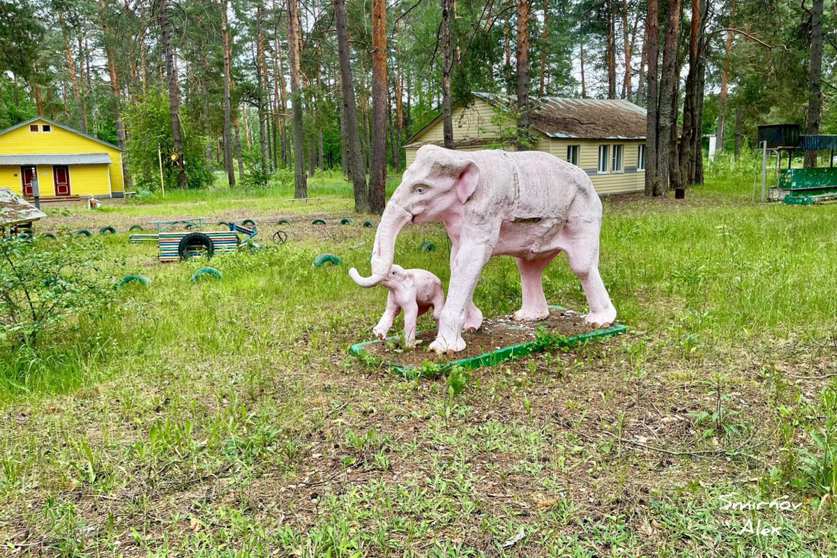 На счету у местного индустриального туриста Алексея Смирнова масса исследованных мест. Есть среди них и заброшенные пионерлагеря Владимирской области. Нашему герою удалось пройтись по территориям, где еще стоят скульптурные композиции, напоминающие о беззаботном лете.