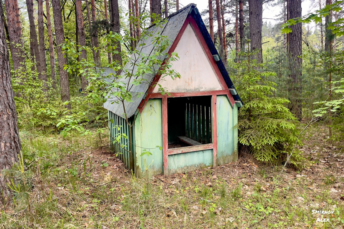 На счету у местного индустриального туриста Алексея Смирнова масса исследованных мест. Есть среди них и заброшенные пионерлагеря Владимирской области. Нашему герою удалось пройтись по территориям, где еще стоят скульптурные композиции, напоминающие о беззаботном лете.