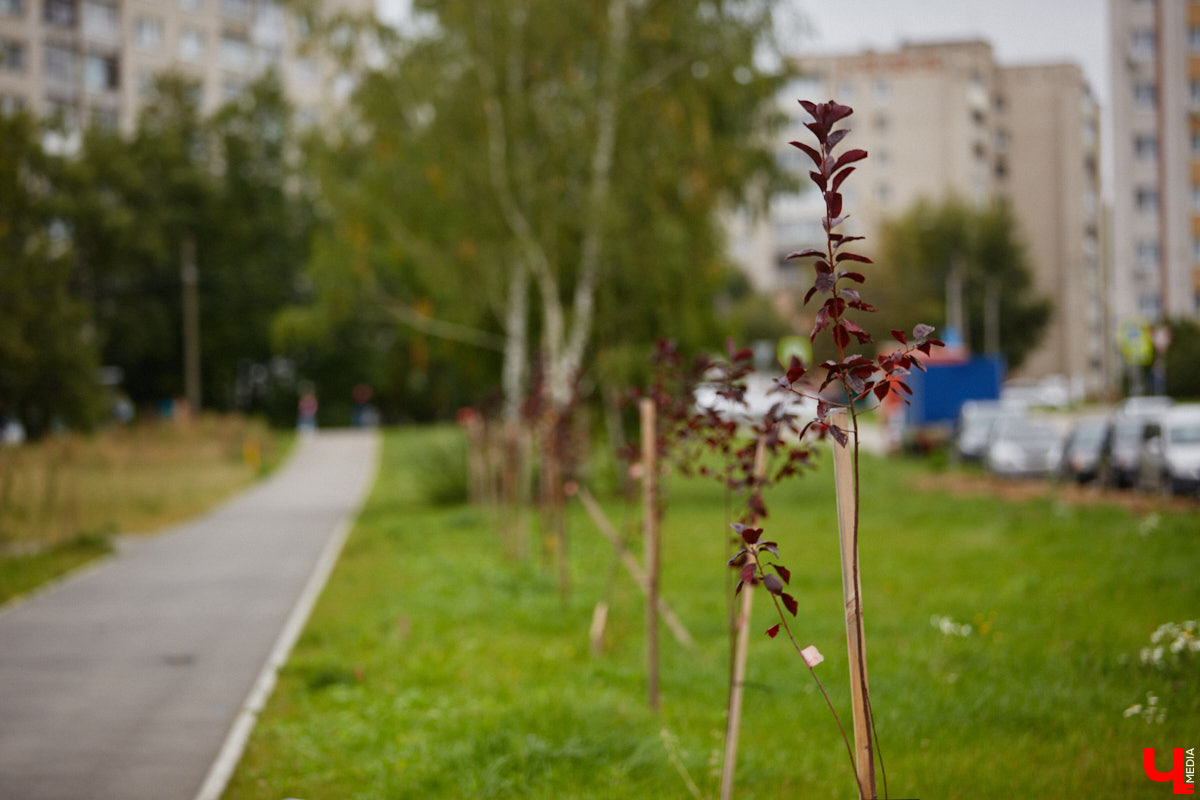 Владимирские улицы не перестают преображаться. В середине лета внешний вид улучшили сразу несколько зон отдыха. На них город, конечно, не остановился. К началу осени ожил еще ряд скверов, а некоторые точки притяжения поставили в режим ожидания.