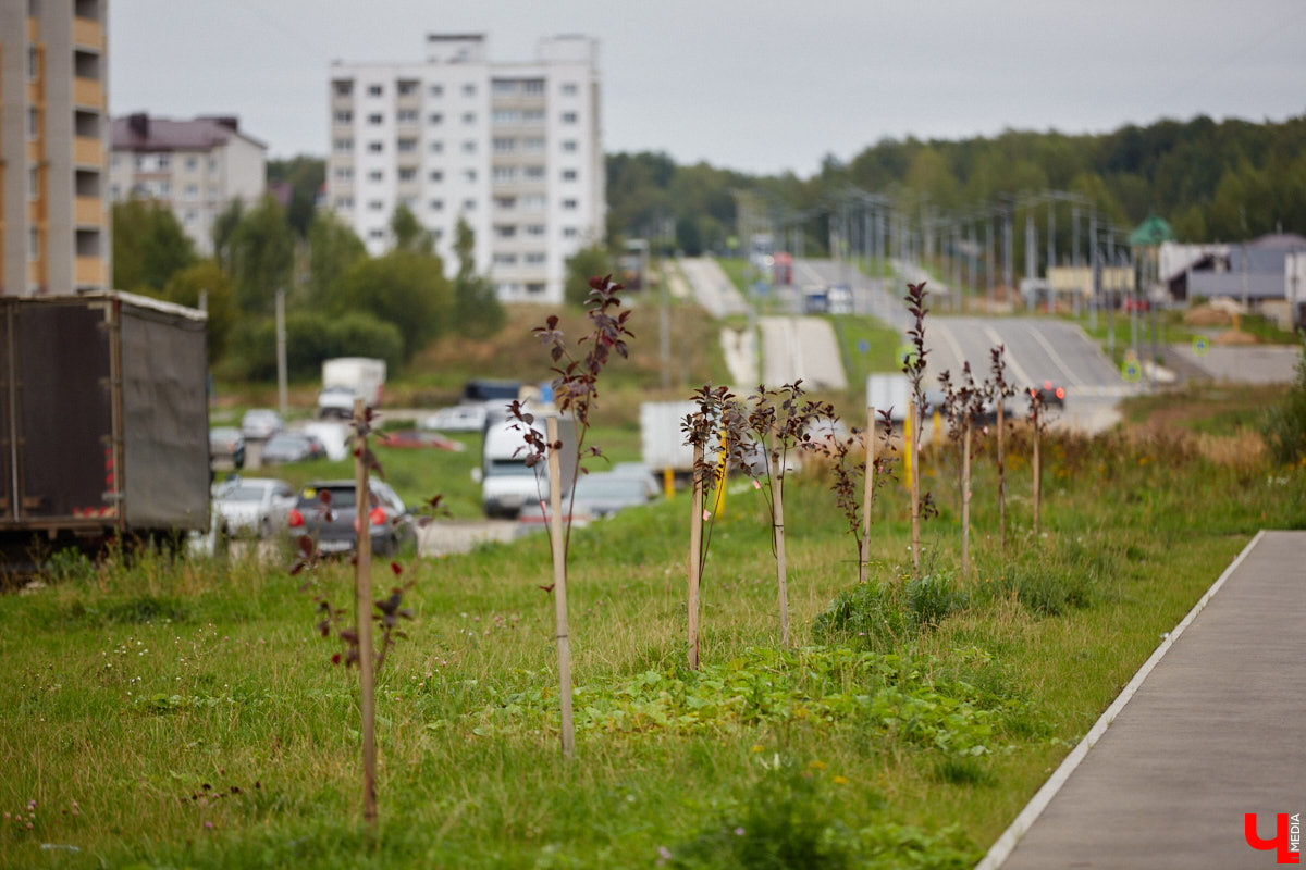 Владимирские улицы не перестают преображаться. В середине лета внешний вид улучшили сразу несколько зон отдыха. На них город, конечно, не остановился. К началу осени ожил еще ряд скверов, а некоторые точки притяжения поставили в режим ожидания.