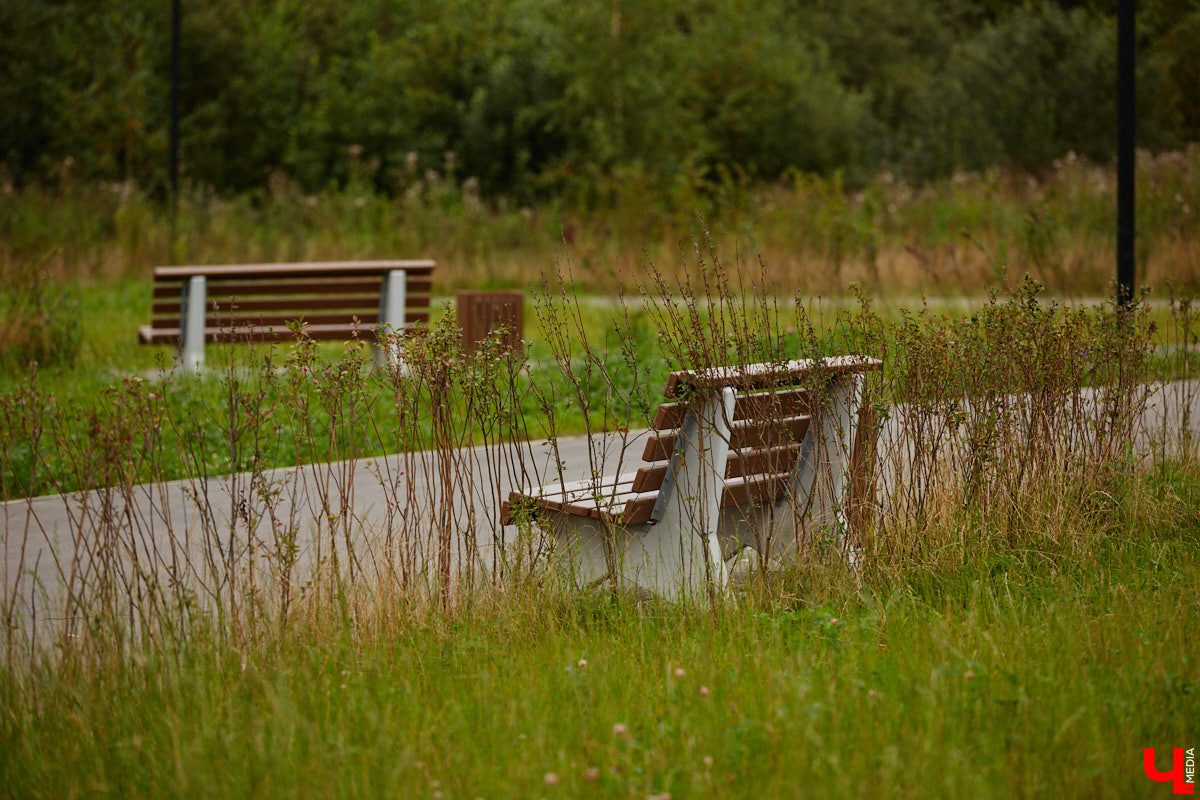 Владимирские улицы не перестают преображаться. В середине лета внешний вид улучшили сразу несколько зон отдыха. На них город, конечно, не остановился. К началу осени ожил еще ряд скверов, а некоторые точки притяжения поставили в режим ожидания.