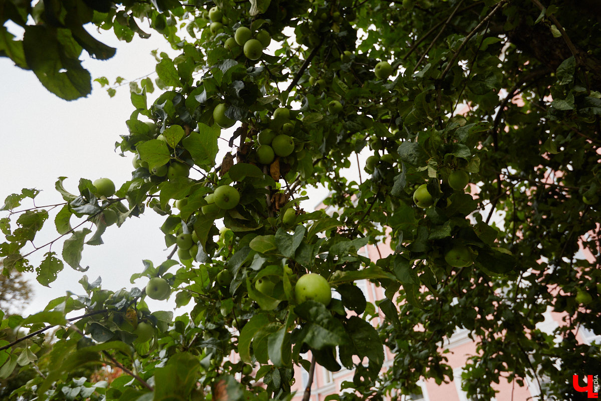Владимирские улицы не перестают преображаться. В середине лета внешний вид улучшили сразу несколько зон отдыха. На них город, конечно, не остановился. К началу осени ожил еще ряд скверов, а некоторые точки притяжения поставили в режим ожидания.