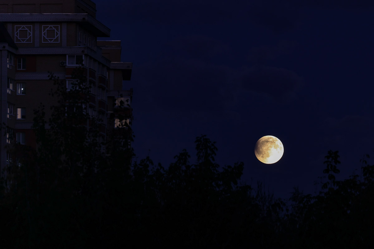 Жители Владимирской области стали свидетелями уникального природного явления — полного лунного затмения. Наблюдать за тем, как тень Земли скрывает ночное светило, можно было практически отовсюду. А потому столь редкое астрономическое событие вызвало ажиотаж среди фотографов и любителей науки о небесных телах и Вселенной. «Ключ-Медиа» собрал самые эффектные снимки.