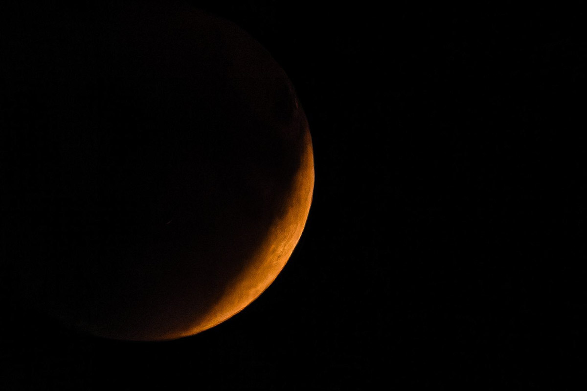 Жители Владимирской области стали свидетелями уникального природного явления — полного лунного затмения. Наблюдать за тем, как тень Земли скрывает ночное светило, можно было практически отовсюду. А потому столь редкое астрономическое событие вызвало ажиотаж среди фотографов и любителей науки о небесных телах и Вселенной. «Ключ-Медиа» собрал самые эффектные снимки.