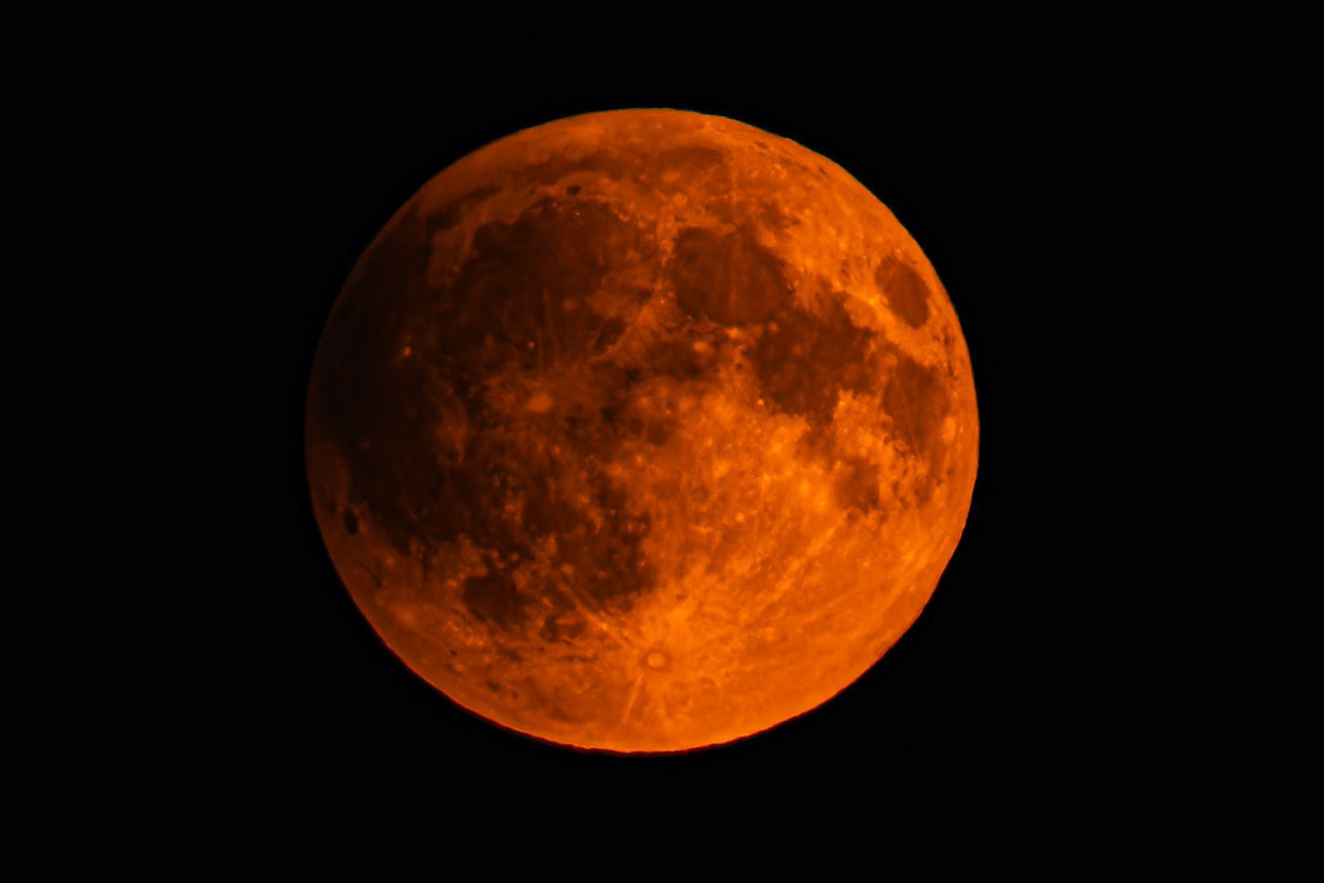 Жители Владимирской области стали свидетелями уникального природного явления — полного лунного затмения. Наблюдать за тем, как тень Земли скрывает ночное светило, можно было практически отовсюду. А потому столь редкое астрономическое событие вызвало ажиотаж среди фотографов и любителей науки о небесных телах и Вселенной. «Ключ-Медиа» собрал самые эффектные снимки.