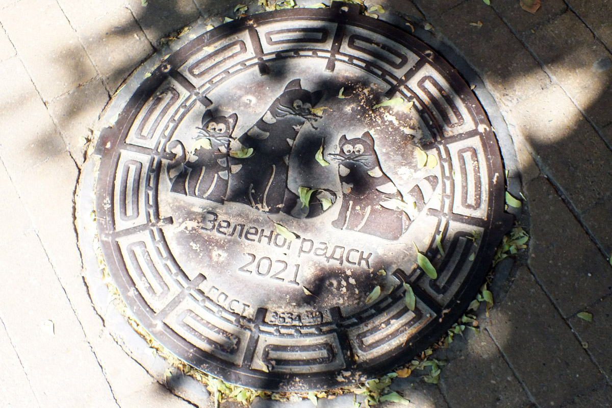 Город не заканчивается на местах и деталях, доступных широкой публике. Иногда самое интересное открывается самым любопытным прохожим. Анастасия Егорова из их числа. В поездках по стране и миру она нашла немало интересных люков, закрывающих смотровые колодцы подземных инженерных коммуникаций. Самые удивительные артефакты девушка показала «Ключ-Медиа».