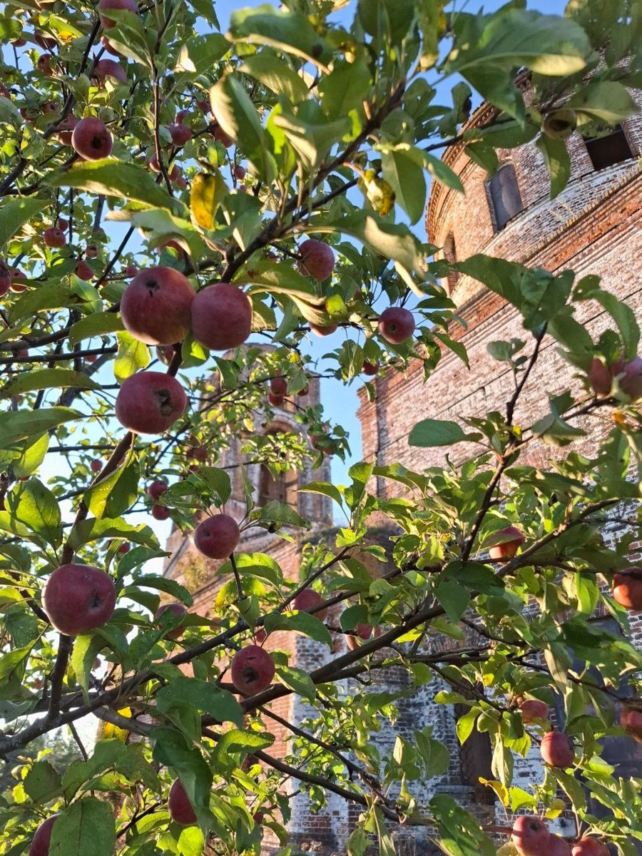 Сентябрь в этом году маскируется под июль, особенно в дневные часы. Идеально для коротких сплавов на сапбордах! Тем более если есть повод попасть по воде туда, куда не добраться по суше! Владимирские путешественники не только вдоволь насладились исконно русскими пейзажами, но и обнаружили на левом берегу Нерли затерянный в Суздальском ополье сельский театр.