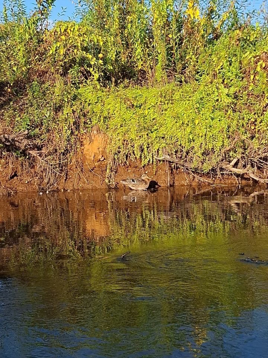 Сентябрь в этом году маскируется под июль, особенно в дневные часы. Идеально для коротких сплавов на сапбордах! Тем более если есть повод попасть по воде туда, куда не добраться по суше! Владимирские путешественники не только вдоволь насладились исконно русскими пейзажами, но и обнаружили на левом берегу Нерли затерянный в Суздальском ополье сельский театр.