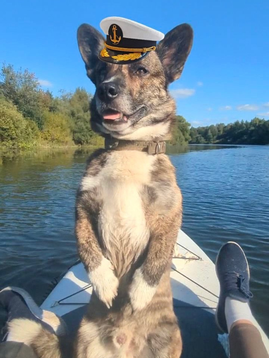 Сентябрь в этом году маскируется под июль, особенно в дневные часы. Идеально для коротких сплавов на сапбордах! Тем более если есть повод попасть по воде туда, куда не добраться по суше! Владимирские путешественники не только вдоволь насладились исконно русскими пейзажами, но и обнаружили на левом берегу Нерли затерянный в Суздальском ополье сельский театр.