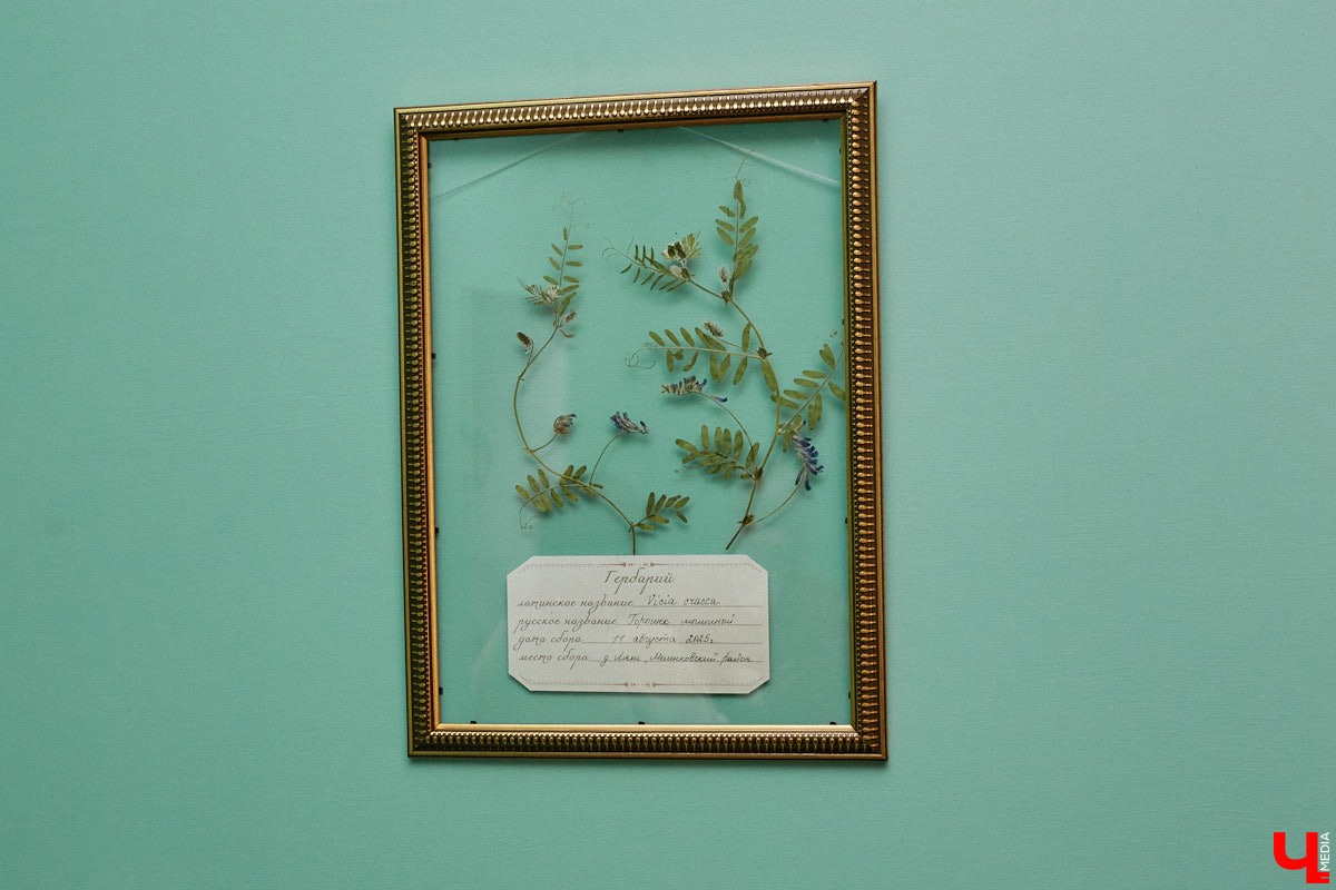 В «Старой аптеке» открылся демонстрационный зал с кабинетом провизора. А значит, у владимирцев и гостей города появился новый повод посетить экспозицию. Всё внимание на первого заведующего аптекой, Христофора Калкау. Манекен за столом – точная копия бронзовой фигуры на входе