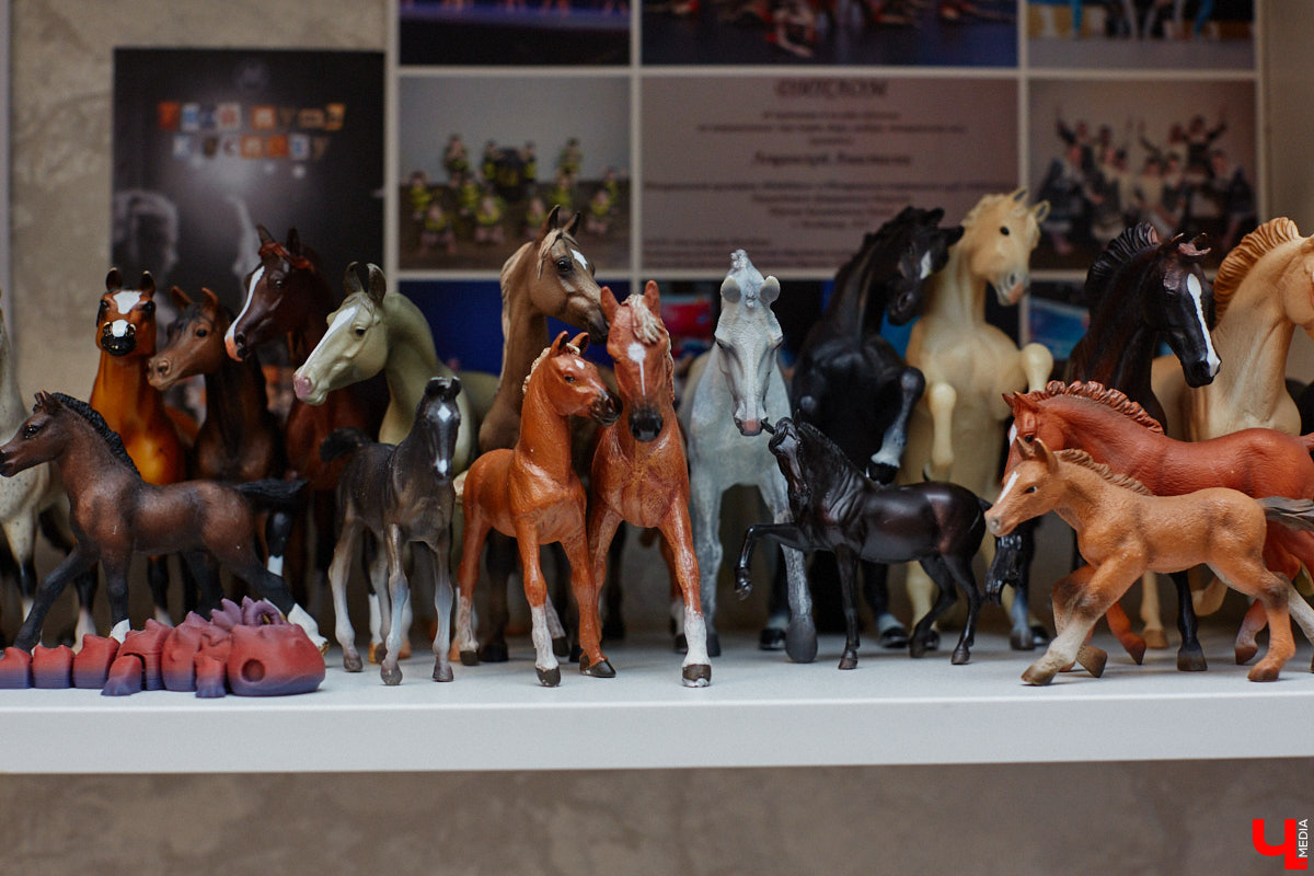 Любовь с первого взгляда. Именно это можно считать причиной появления коллекционных мини-лошадок на полках у Анастасии Лещинской. Собрание продолжает пополняться и сегодня, спустя 14 лет с момента приобретения первой фигурки. О самых редких и любимых статуэтках девушка рассказала «Ключ-Медиа»