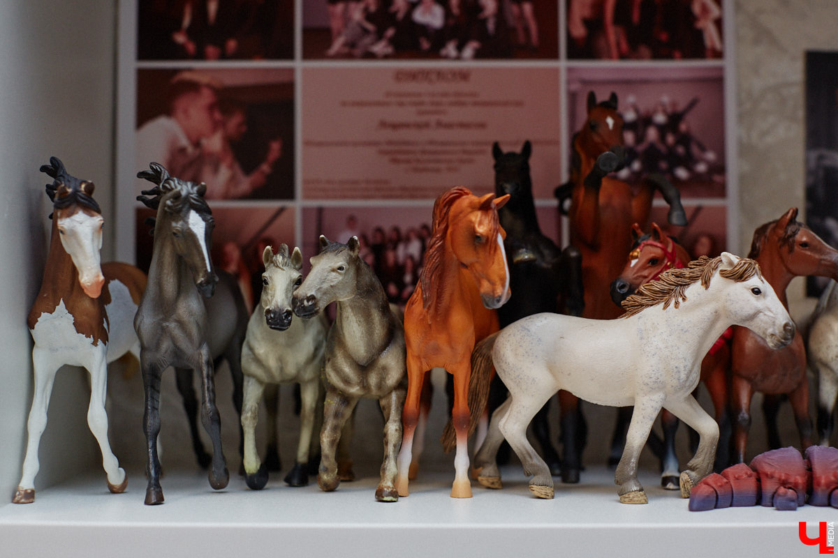 Любовь с первого взгляда. Именно это можно считать причиной появления коллекционных мини-лошадок на полках у Анастасии Лещинской. Собрание продолжает пополняться и сегодня, спустя 14 лет с момента приобретения первой фигурки. О самых редких и любимых статуэтках девушка рассказала «Ключ-Медиа»